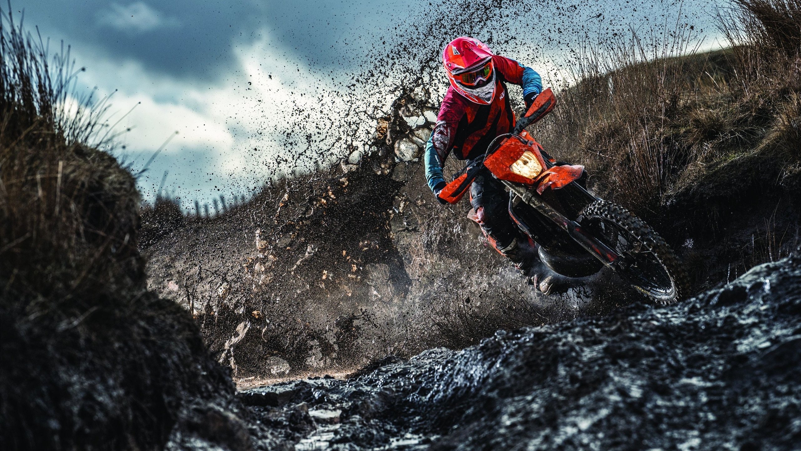 CPH Wolves 宣布以欧洲阵容重返 CS_GO 赛场，欧洲csgo对战平台